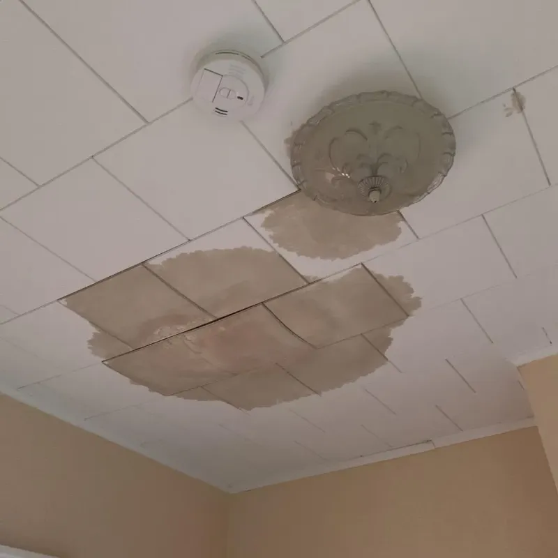 Ceiling Water Damage Repair in Bowbells, ND