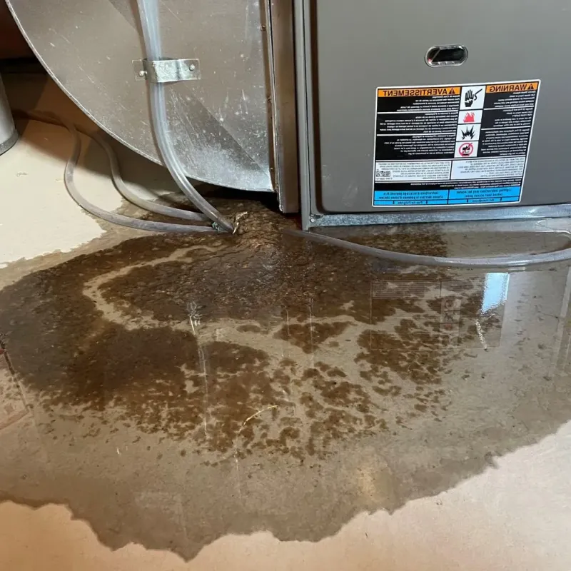 Pipe Burst and Leak Restoration in Bowbells, ND