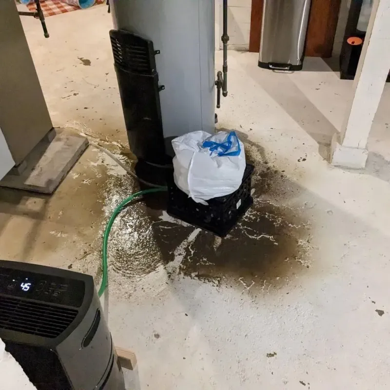 Sewage Backup Cleanup Service in Bowbells, ND